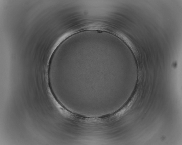 X0000094441434200711081238