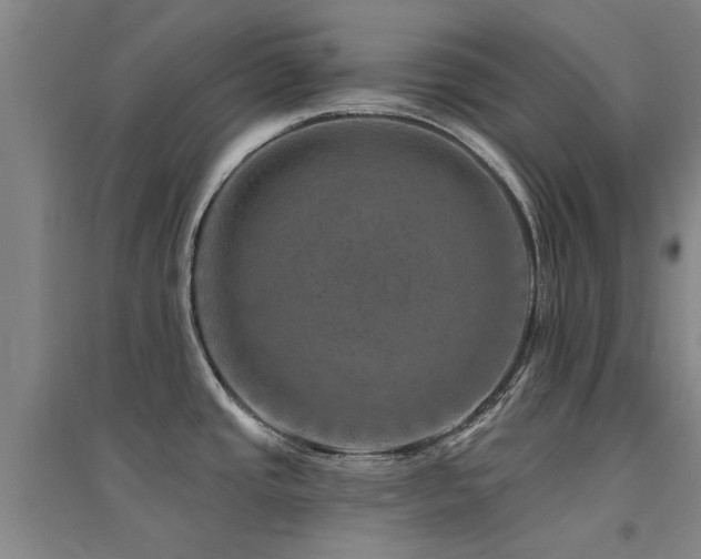X0000094441437200711081239