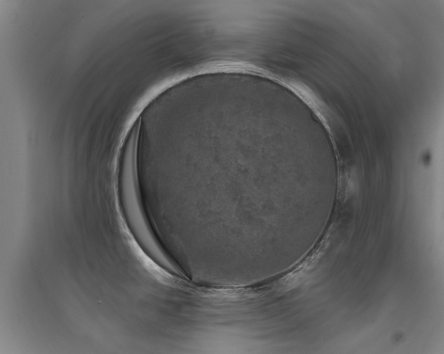 X0000094441438200711081239