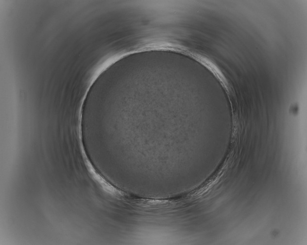 X0000094441439200711081239