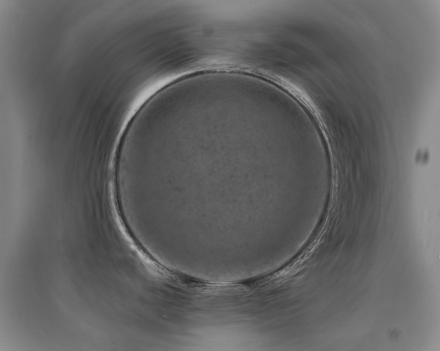 X0000094441440200711081239