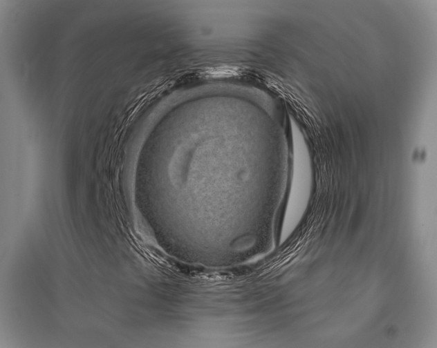 X0000094441441200711081238