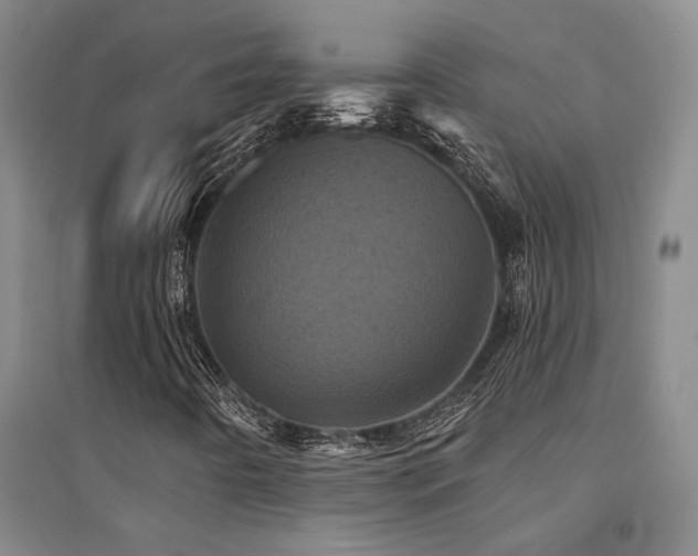 X0000094441442200711081238