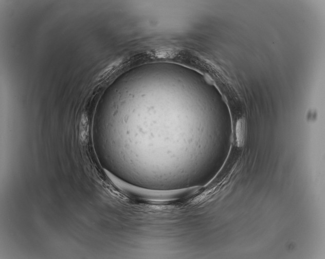 X0000094441443200711081238