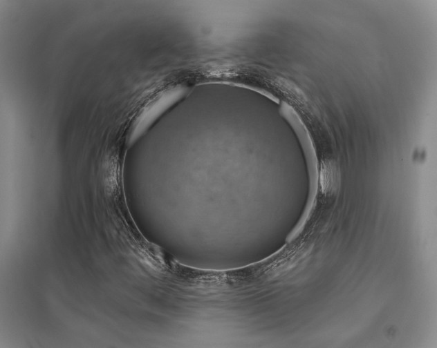 X0000094441444200711081238