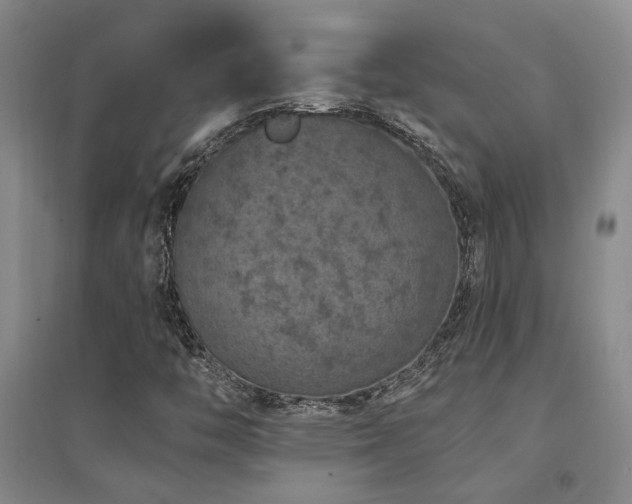 X0000094441446200711081238