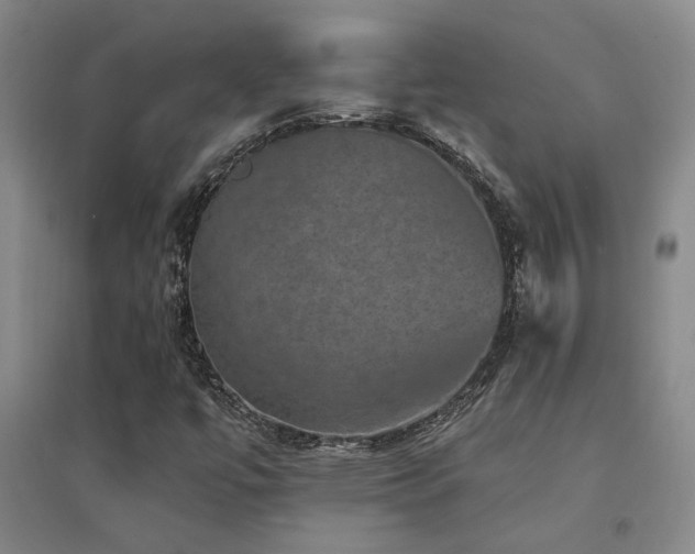 X0000094441447200711081238