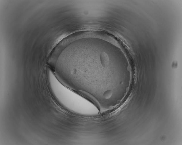 X0000094441449200711081238