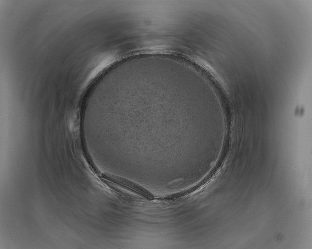 X0000094441450200711081238