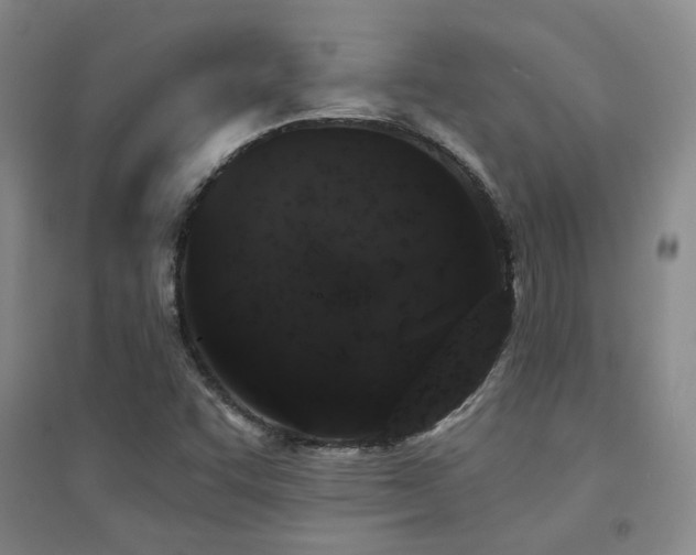 X0000094441455200711081237