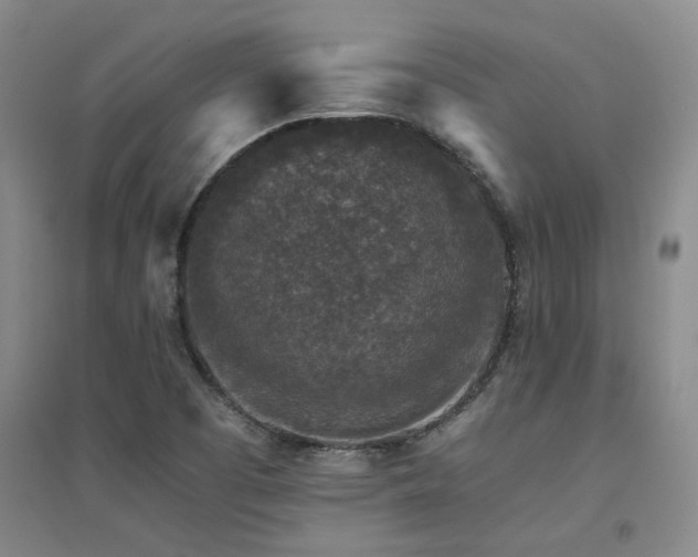 X0000094441457200711081237