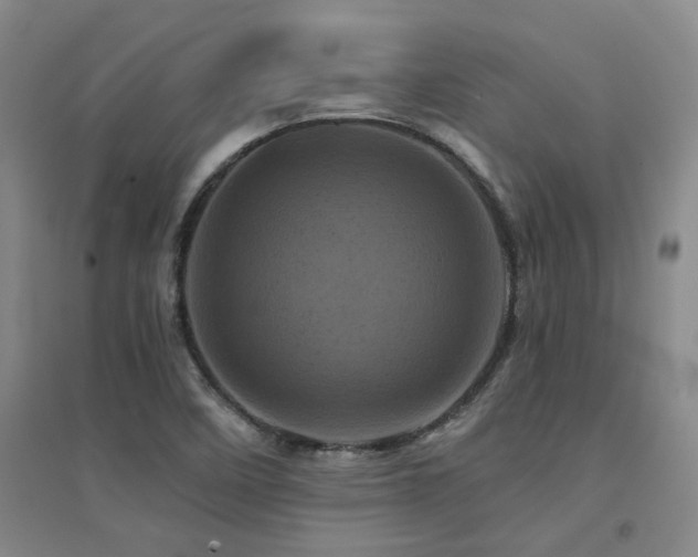 X0000094441458200711081237