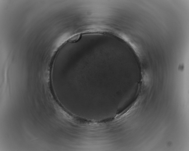 X0000094441459200711081237