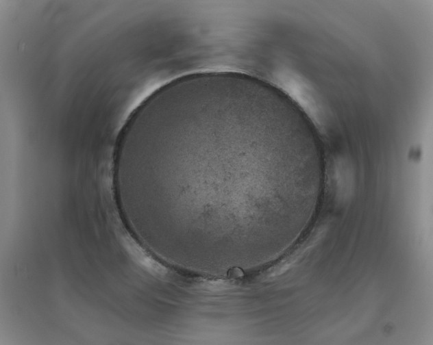 X0000094441460200711081237