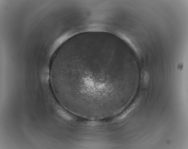 X0000094441461200711081237