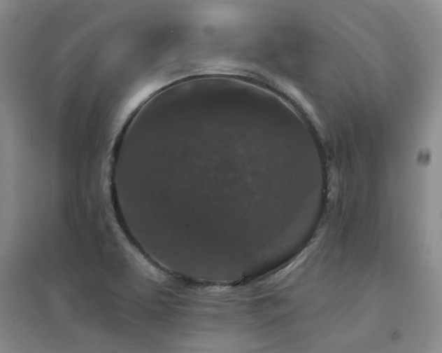 X0000094441463200711081237