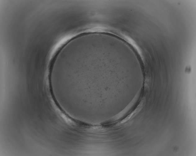 X0000094441464200711081237