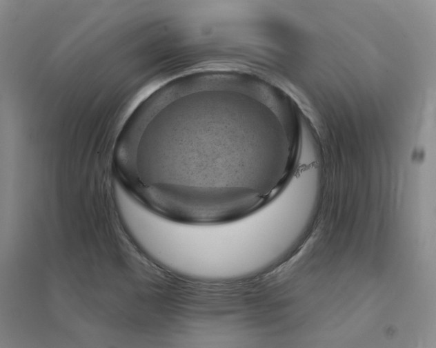 X0000094441465200711081237