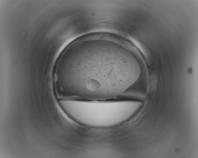 X0000094441468200711081237
