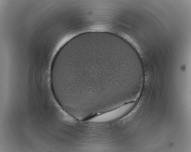 X0000094441469200711081237