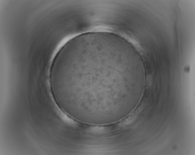 X0000094441470200711081237