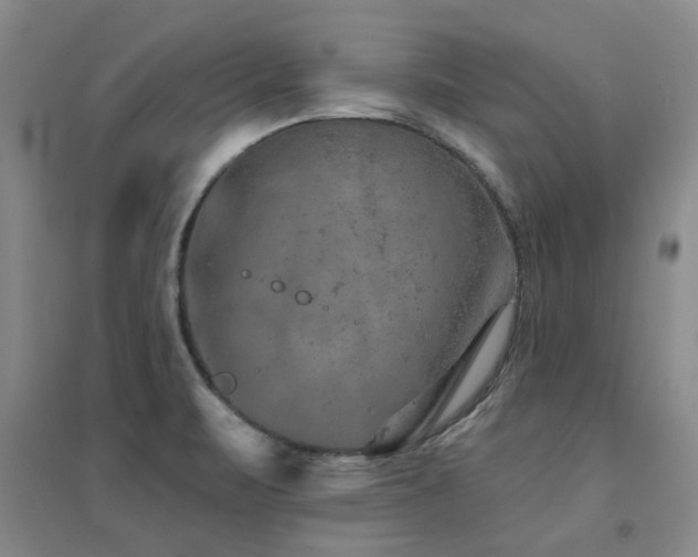 X0000094441471200711081237