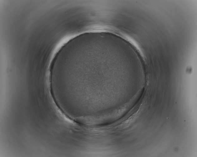 X0000094441472200711081237