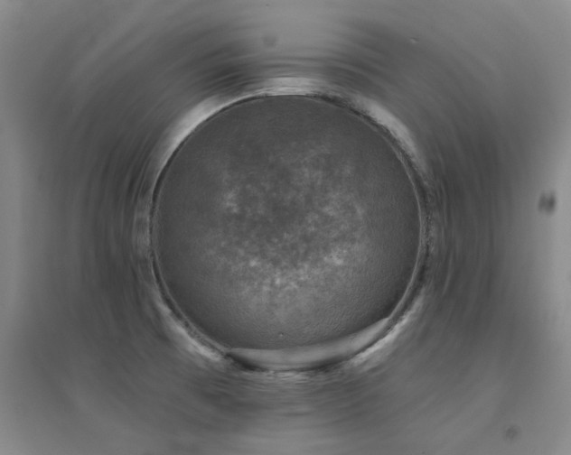 X0000094441473200711081237