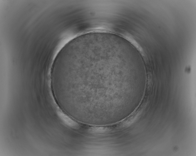 X0000094441474200711081237
