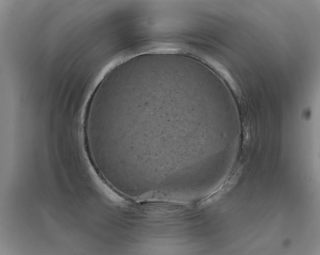 X0000094441475200711081237