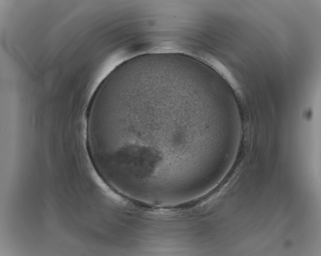 X0000094441476200711081237