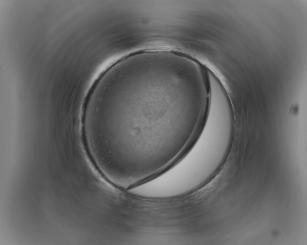X0000094441477200711081237