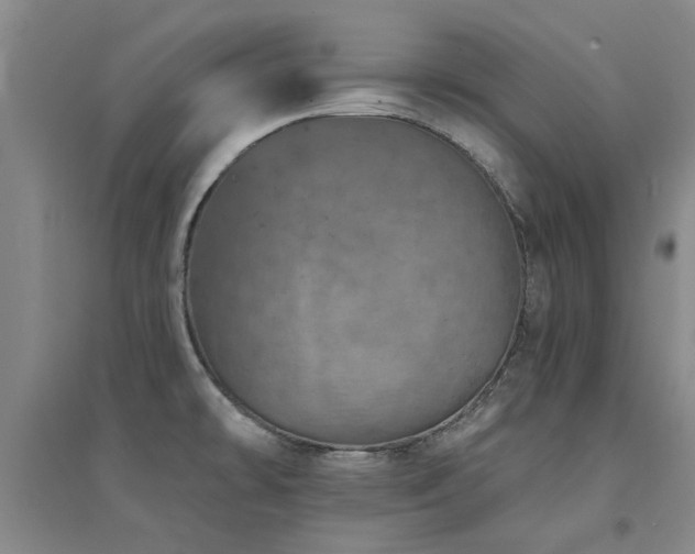 X0000094441478200711081237