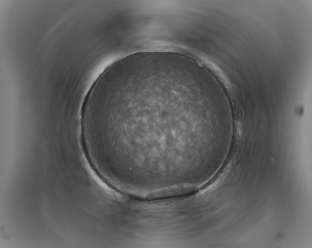 X0000094441479200711081237