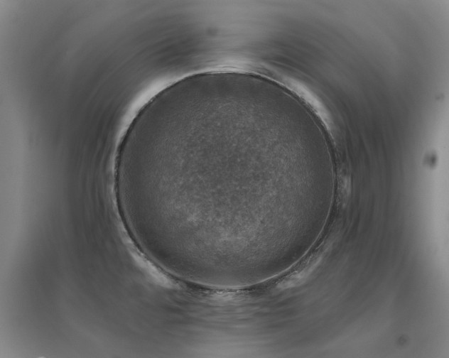 X0000094441480200711081237