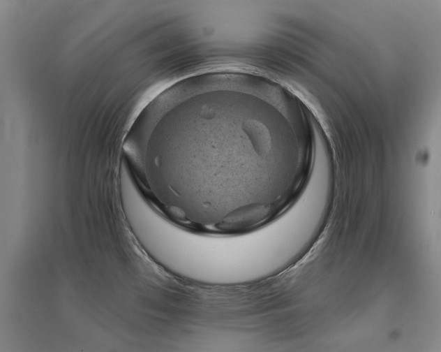 X0000094441481200711081237