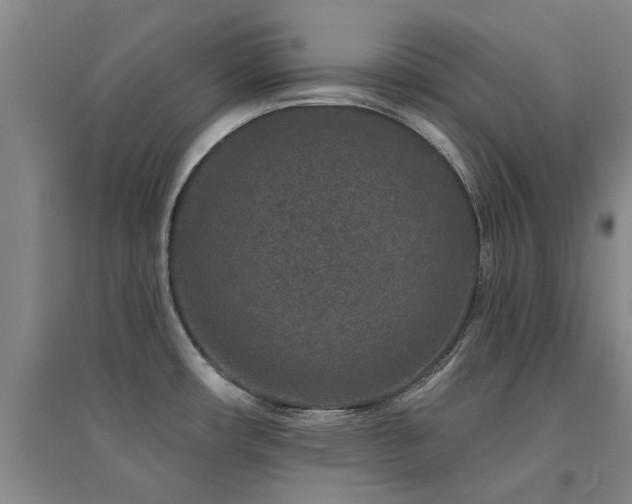 X0000094441482200711081237