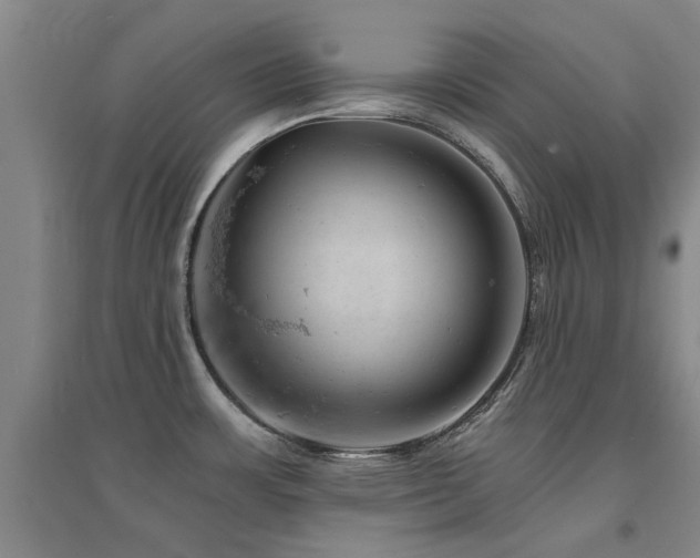 X0000094441483200711081237