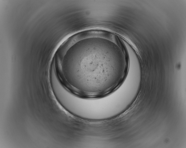X0000094441484200711081237