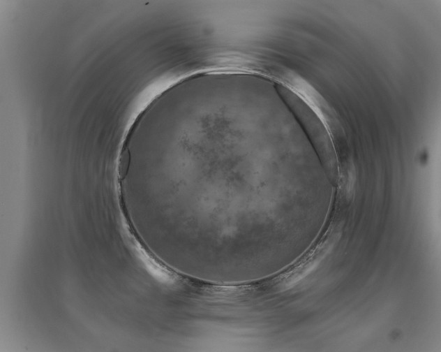 X0000094441485200711081237