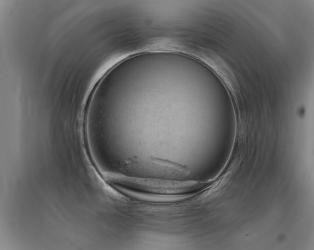 X0000094441486200711081237