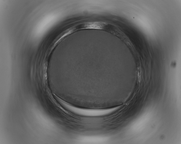 X0000094441487200711081237