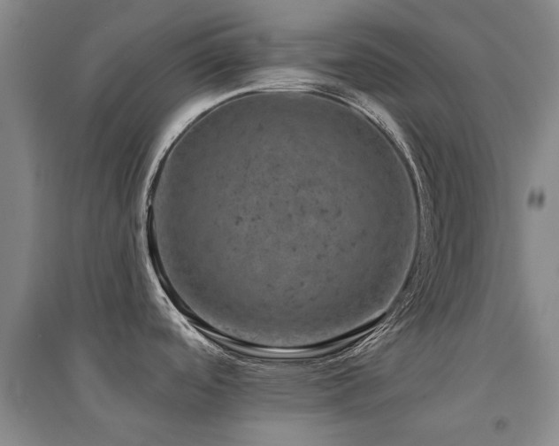 X0000094441488200711081237