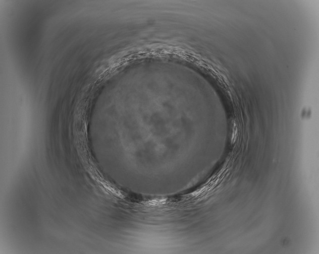 X0000094441489200711081236