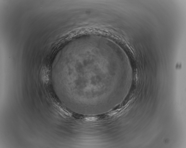 X0000094441490200711081236