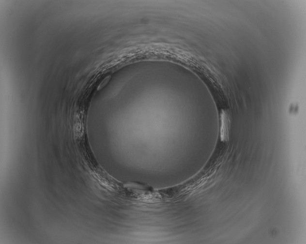 X0000094441491200711081236
