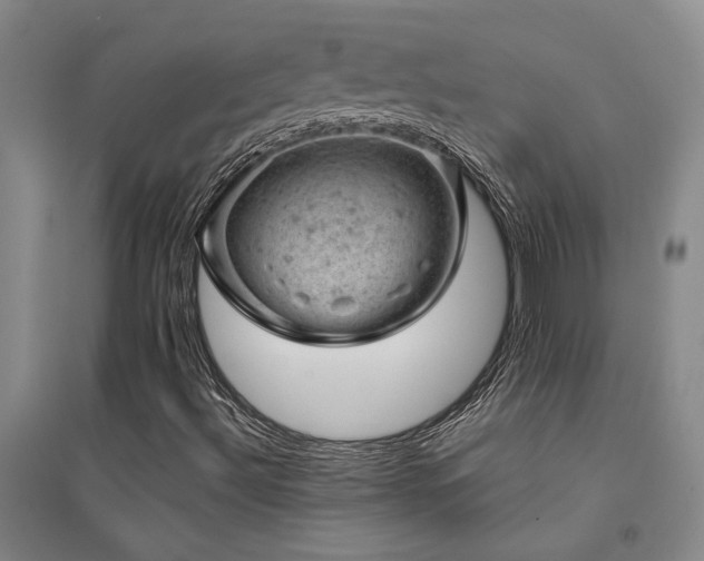 X0000094441492200711081236