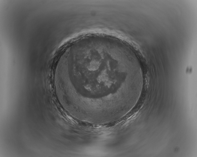X0000094441494200711081236