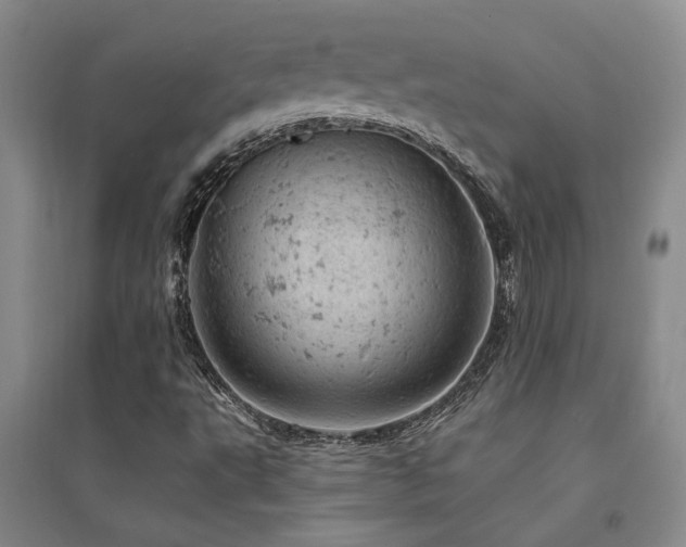 X0000094441495200711081236
