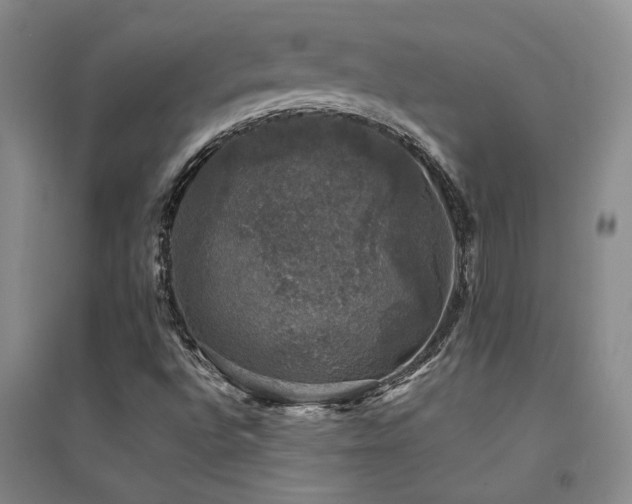 X0000094441496200711081236
